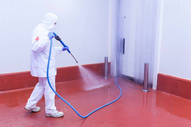 Best Spring Cleaning  in Nth Plains, OR